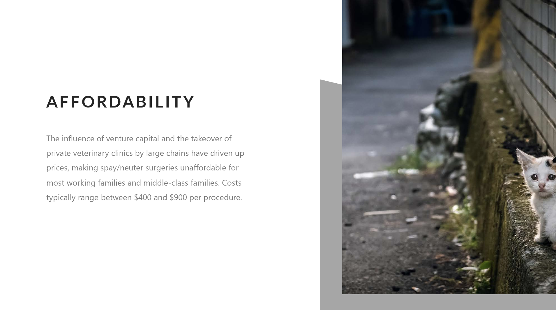 spay_la_affordability